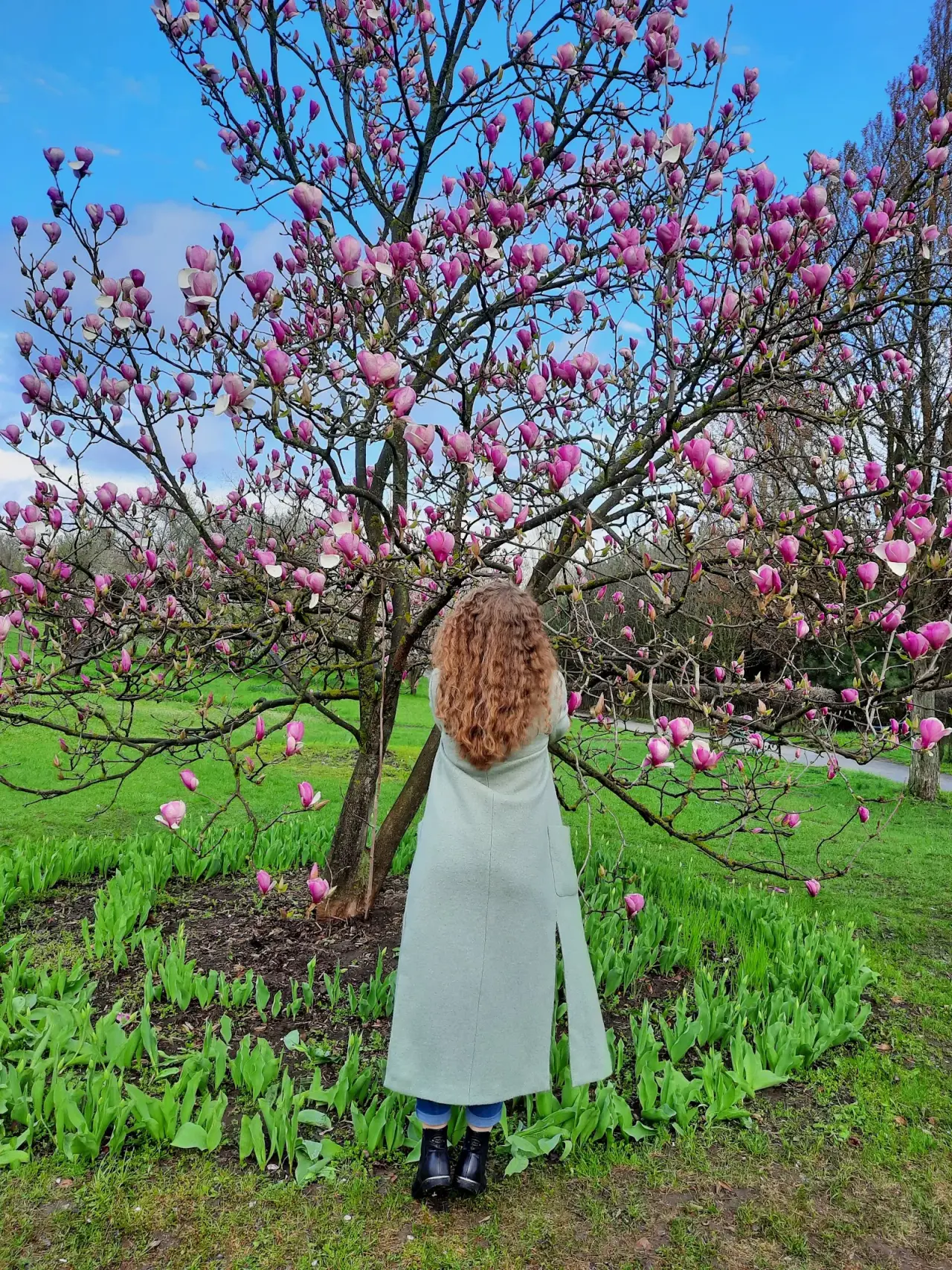 Grădina Botanică din Chișinău — fotografie 3