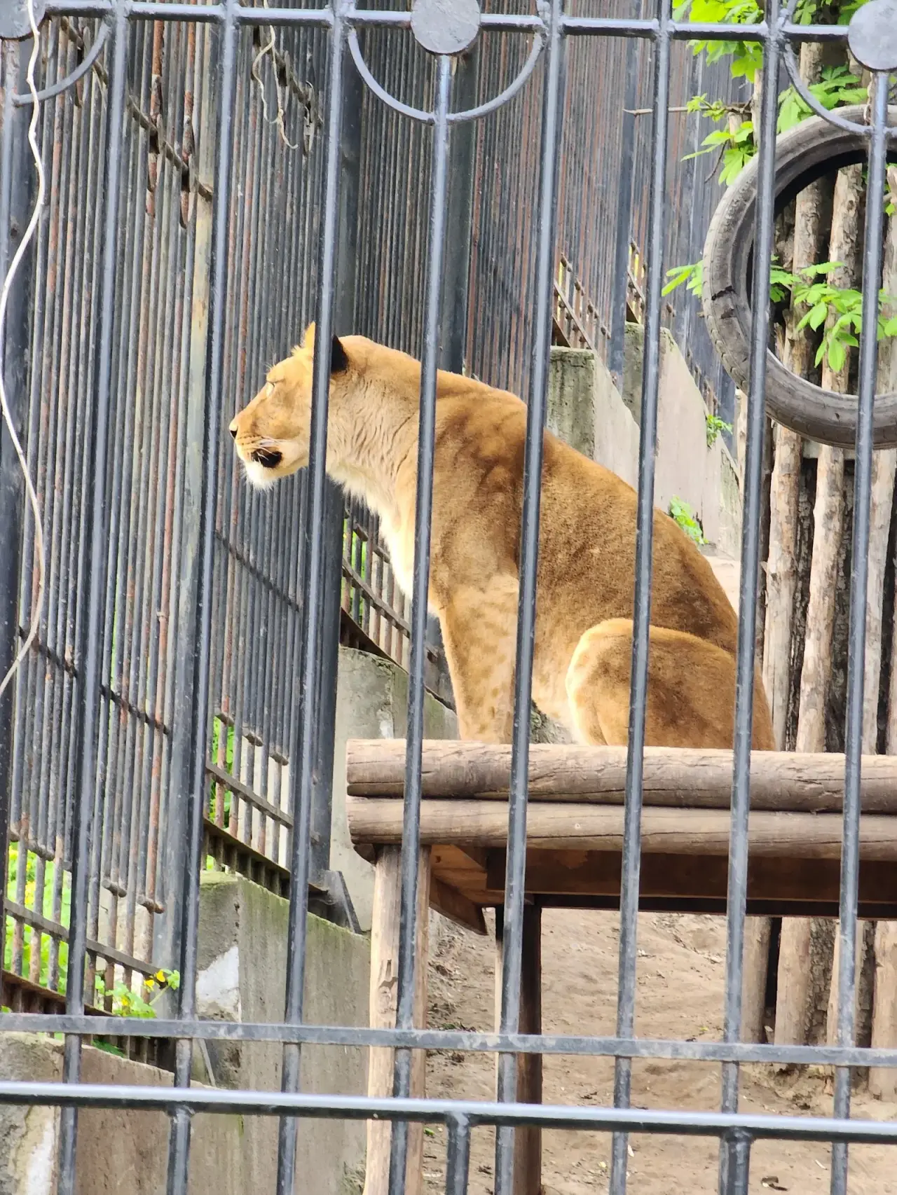 Grădina Zoologică din Chișinău