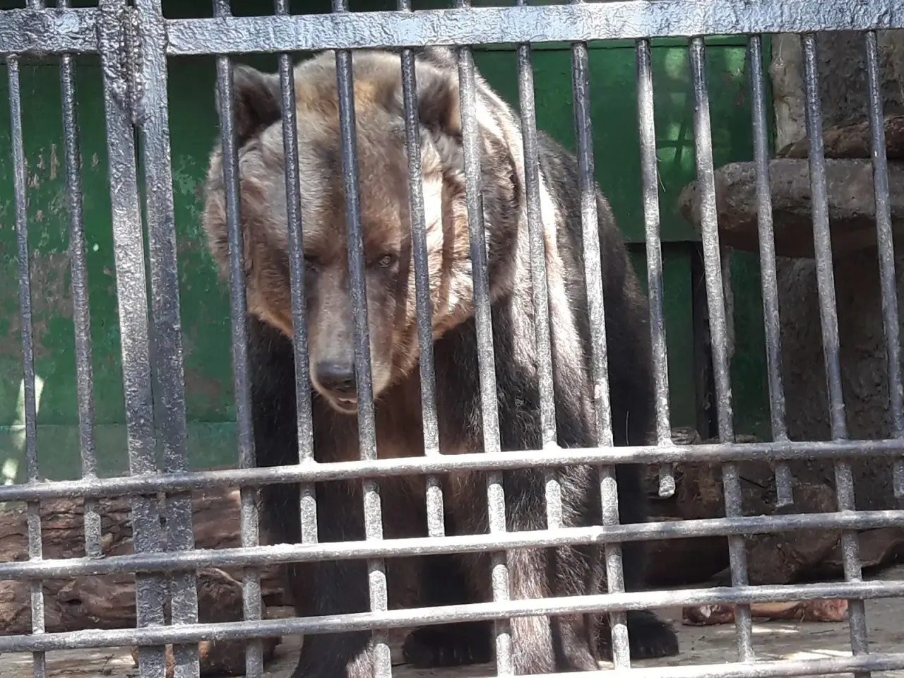 Grădina Zoologică din Chișinău — fotografie 1
