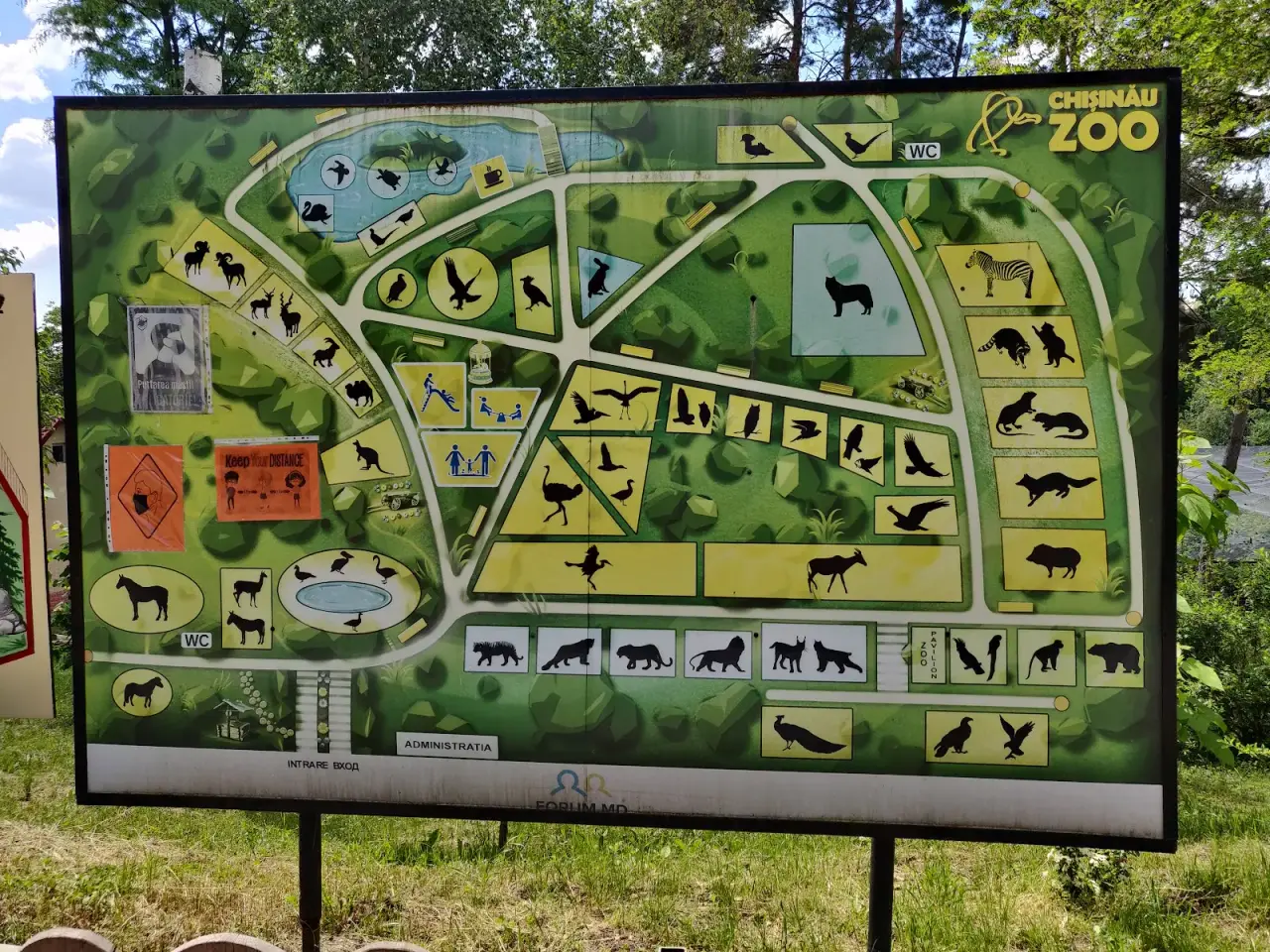 Grădina Zoologică din Chișinău — fotografie 3