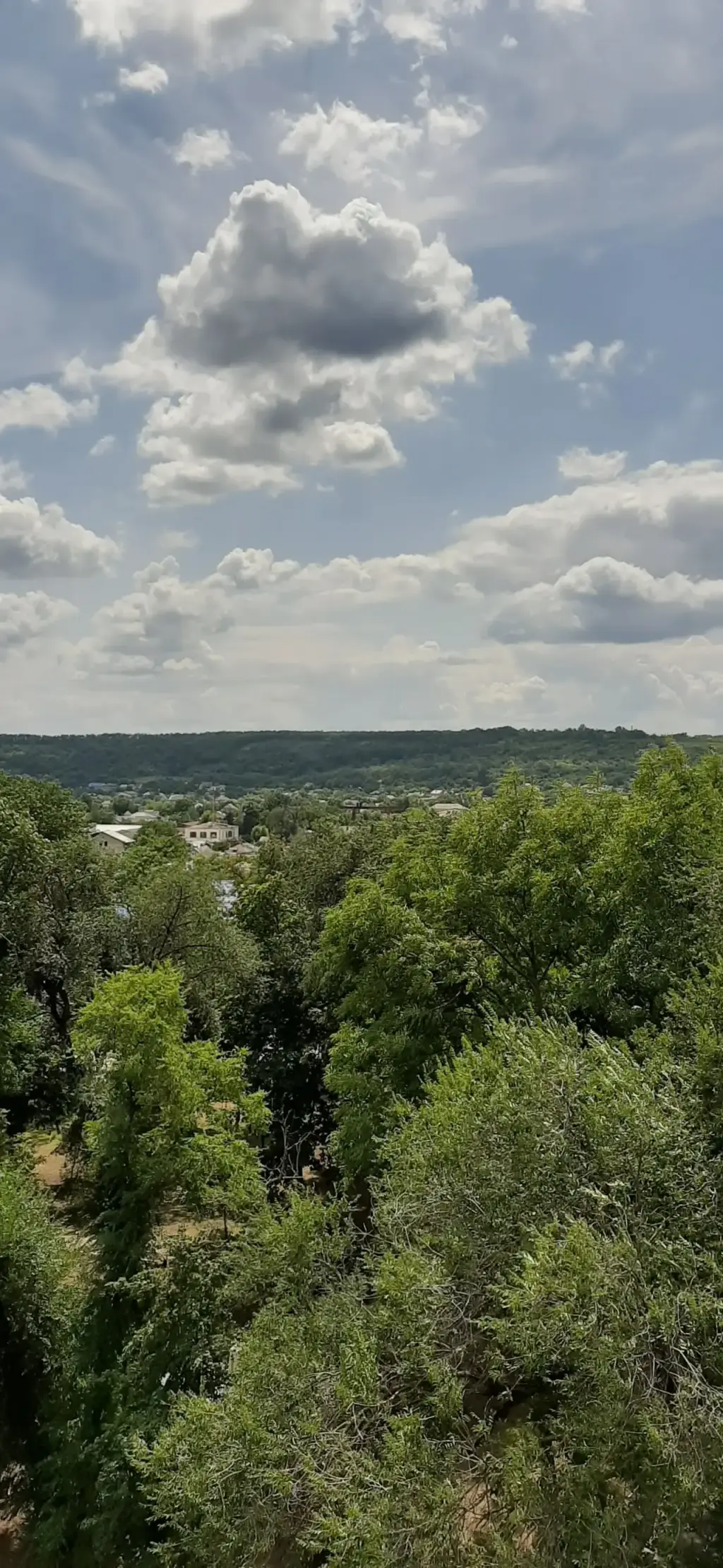 Parcul Andrieș — fotografie 3