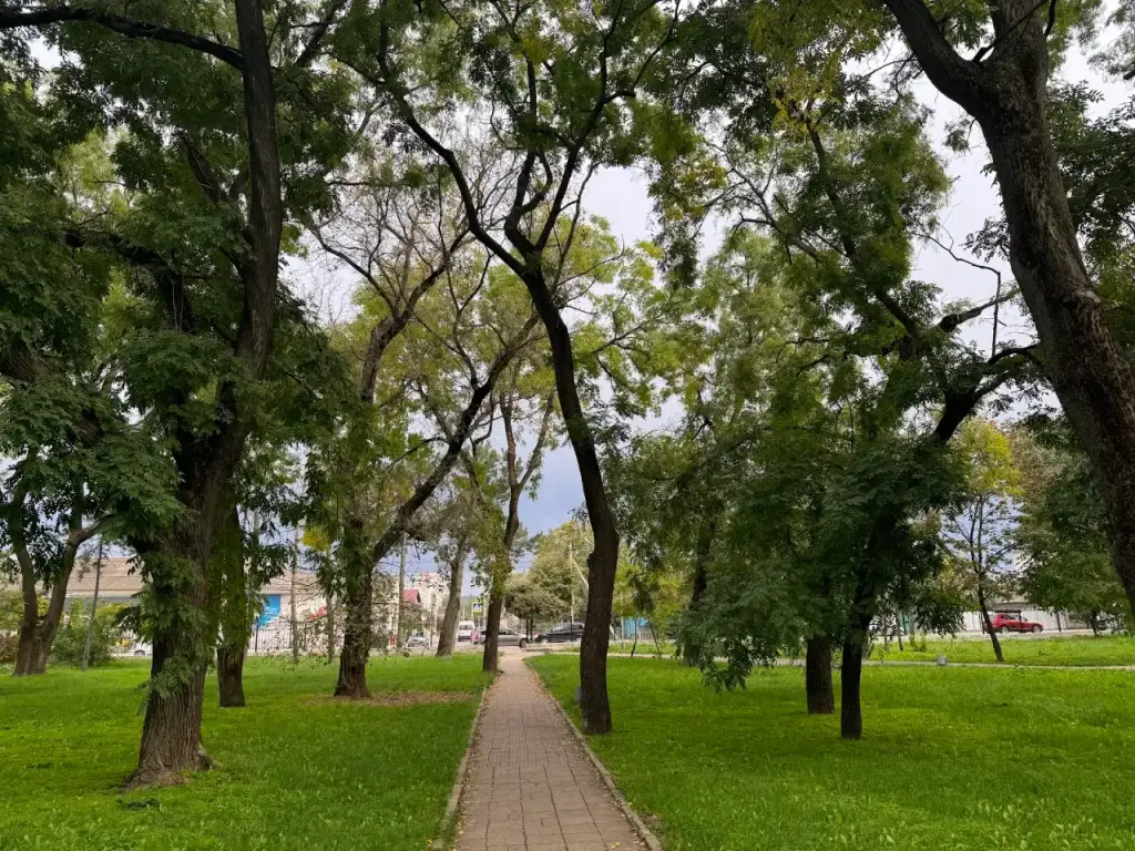 Parcul Central „Mihai Volontir” — fotografie 2