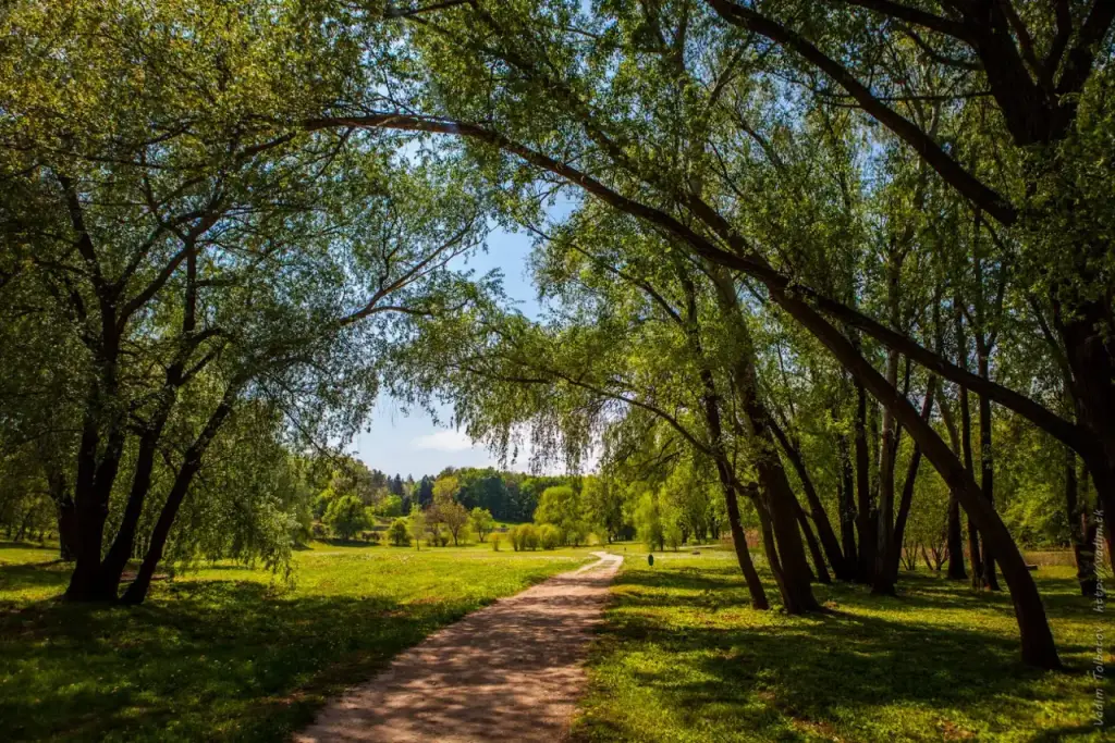 Parcul „Dendrariu” — fotografie 3