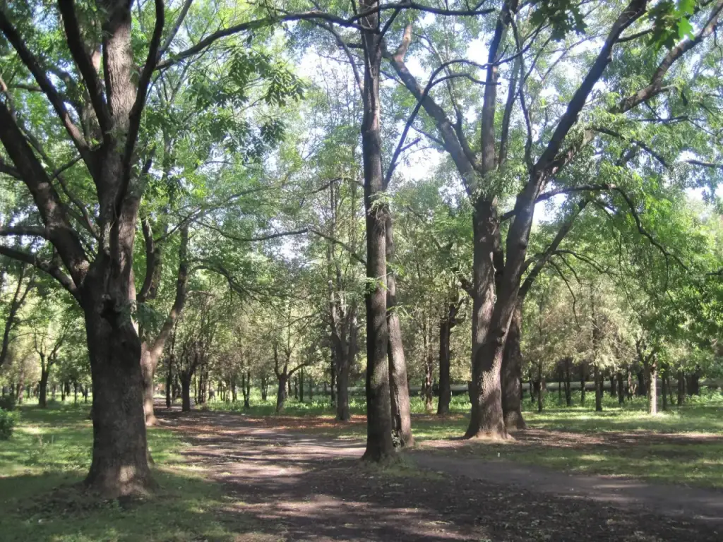 Parcul eparhial (Diocesan Park) — fotografie 1