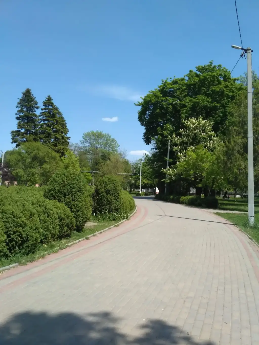 Parcul eparhial (Diocesan Park) — fotografie 2