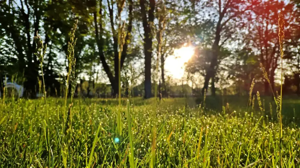 Parcul eparhial (Diocesan Park) — fotografie 3