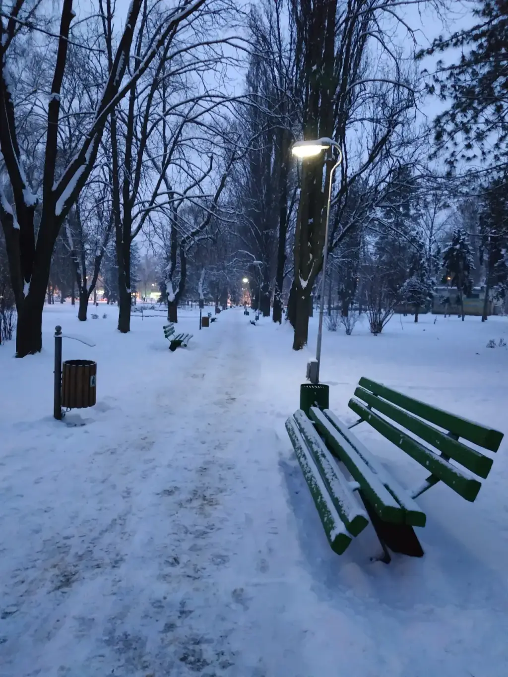 Parcul „Serghei Lazo” — fotografie 2