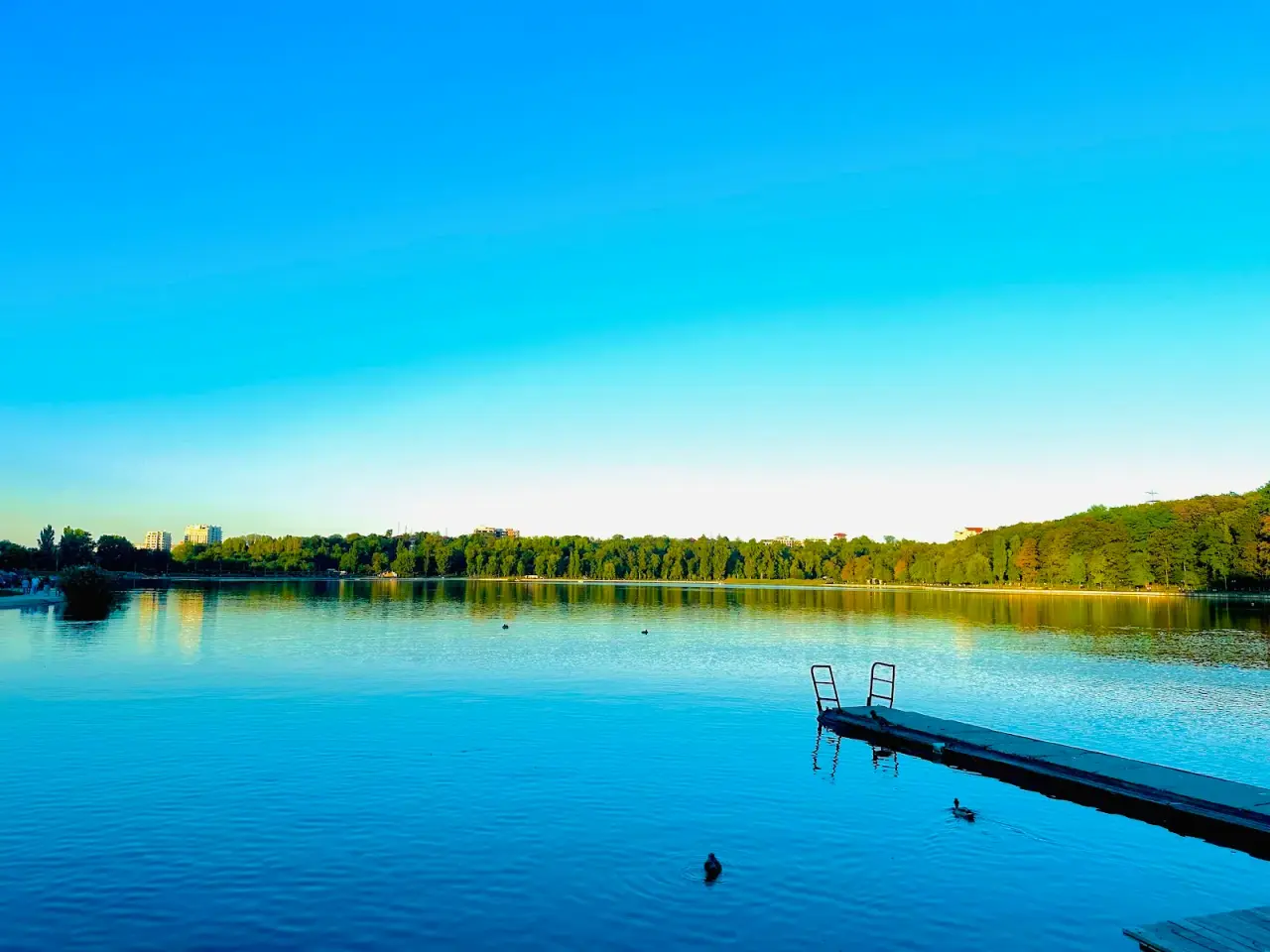 Parcul „Valea Morilor” — fotografie 3