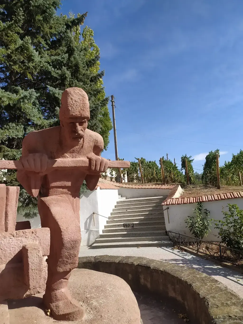 Carlevana Winery