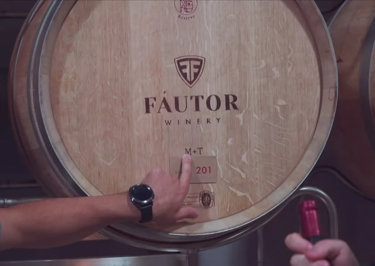 Fautor