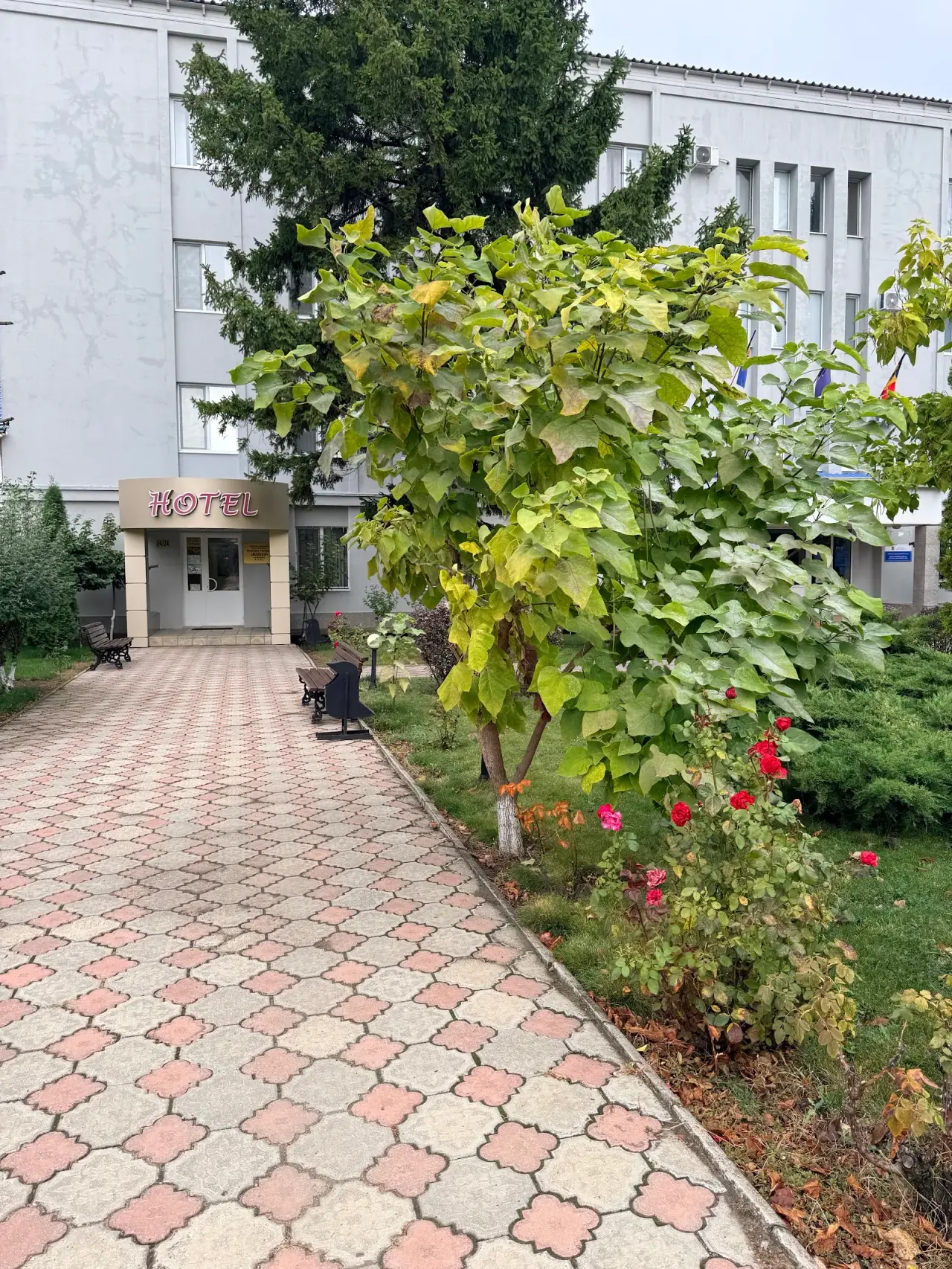 MARION 4* - Pensiune turistică