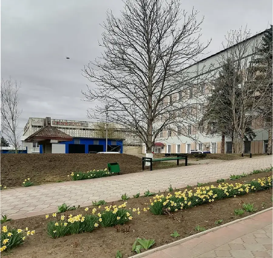 Raionul Telenești